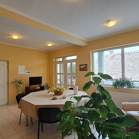 Bed and Breakfast Erika Panzio Ditrău Zewnętrze zdjęcie